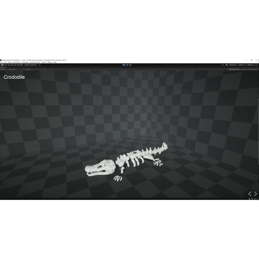 Animal Skeletons 3D Model – Low Poly Rigged Assets, FBX & PBR Textures - View 27