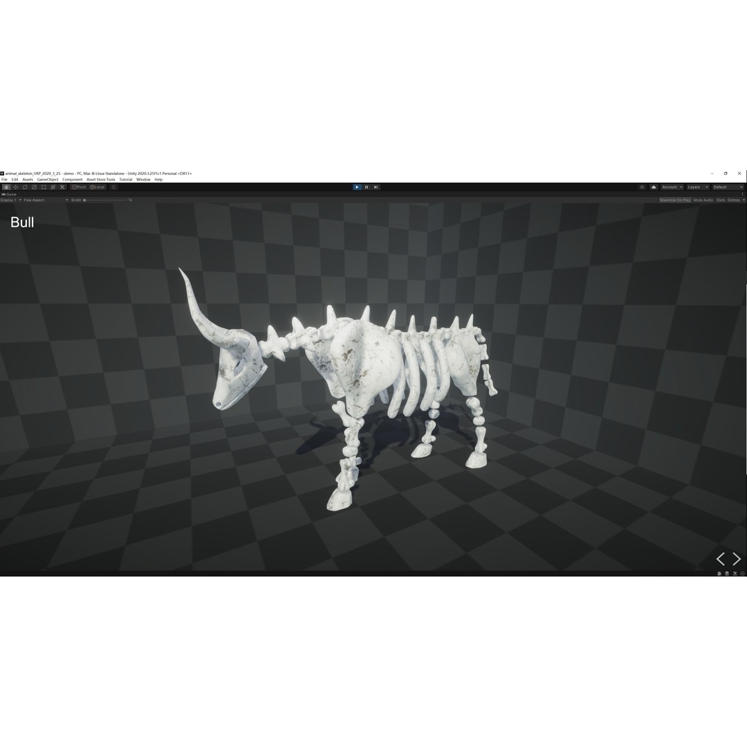 Animal Skeletons 3D Model – Low Poly Rigged Assets, FBX & PBR Textures - View 29