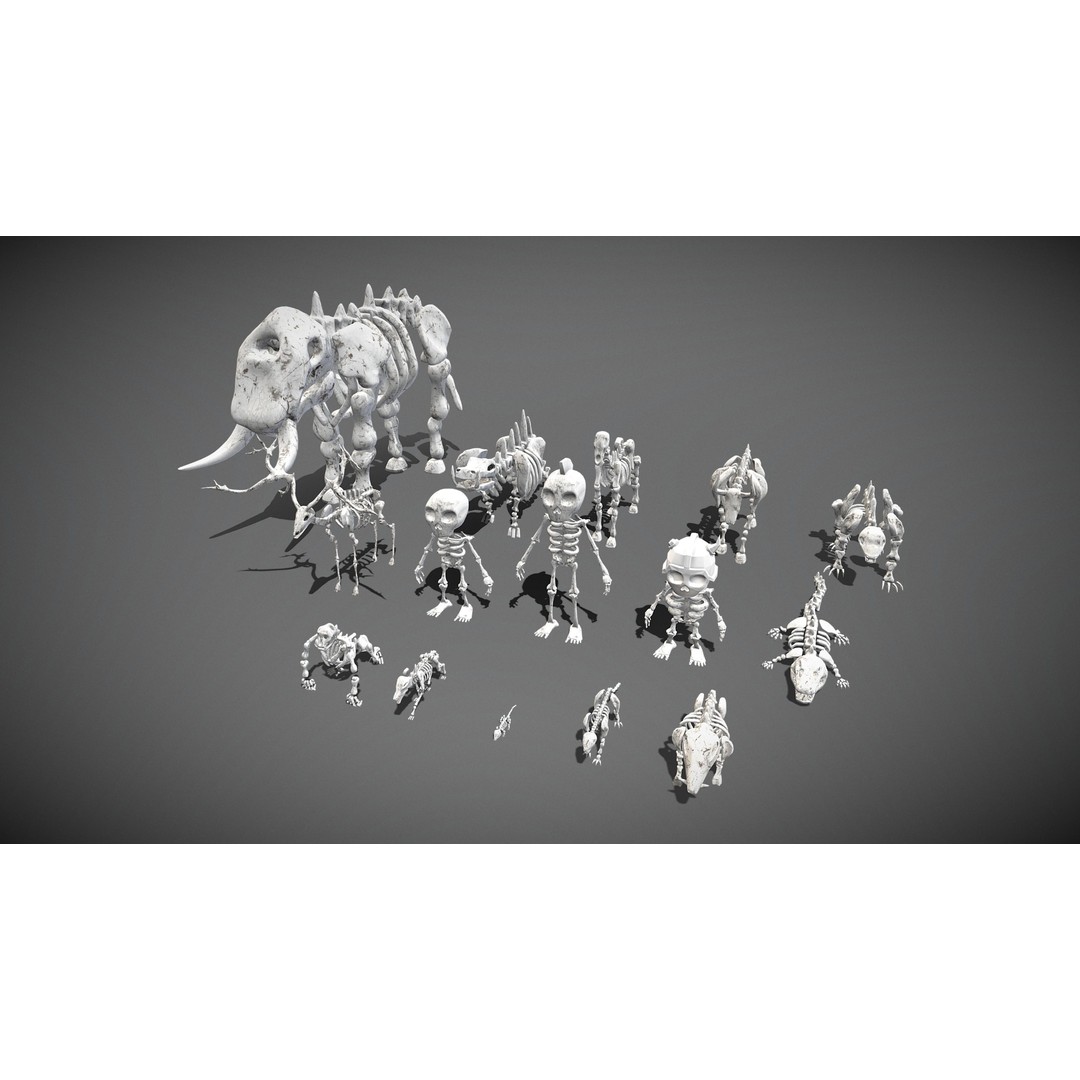 Animal Skeletons 3D Model – Low Poly Rigged Assets, FBX & PBR Textures - View 3