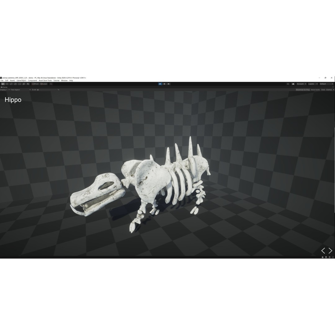 Animal Skeletons 3D Model – Low Poly Rigged Assets, FBX & PBR Textures - View 30