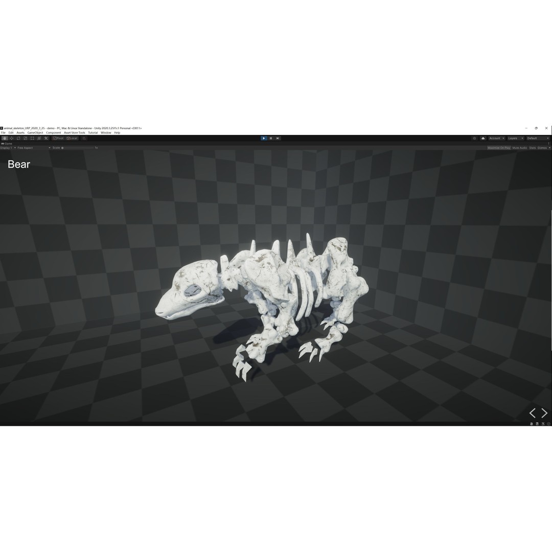 Animal Skeletons 3D Model – Low Poly Rigged Assets, FBX & PBR Textures - View 32