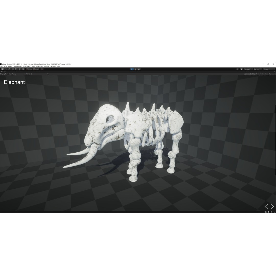 Animal Skeletons 3D Model – Low Poly Rigged Assets, FBX & PBR Textures - View 34
