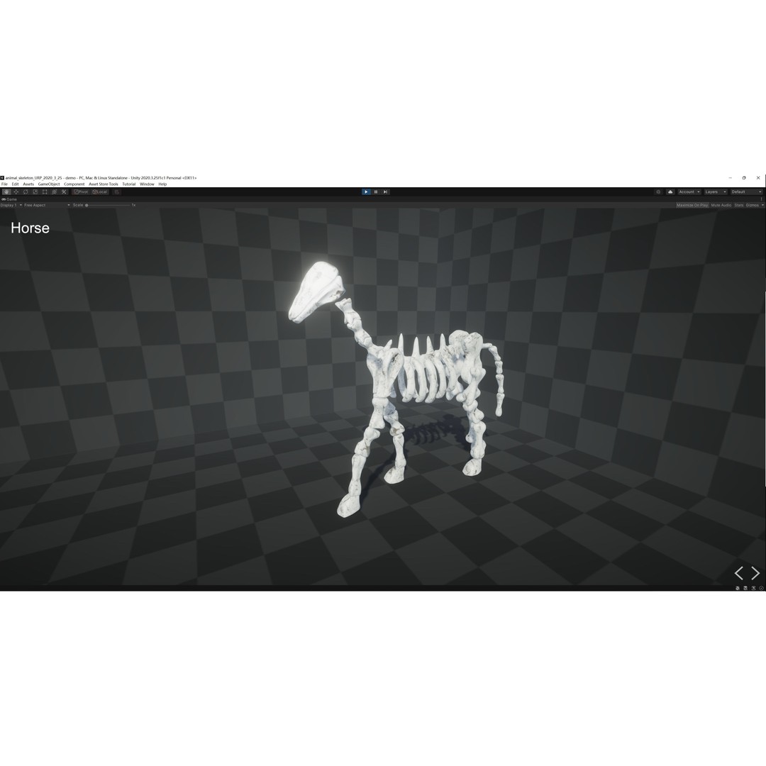 Animal Skeletons 3D Model – Low Poly Rigged Assets, FBX & PBR Textures - View 35
