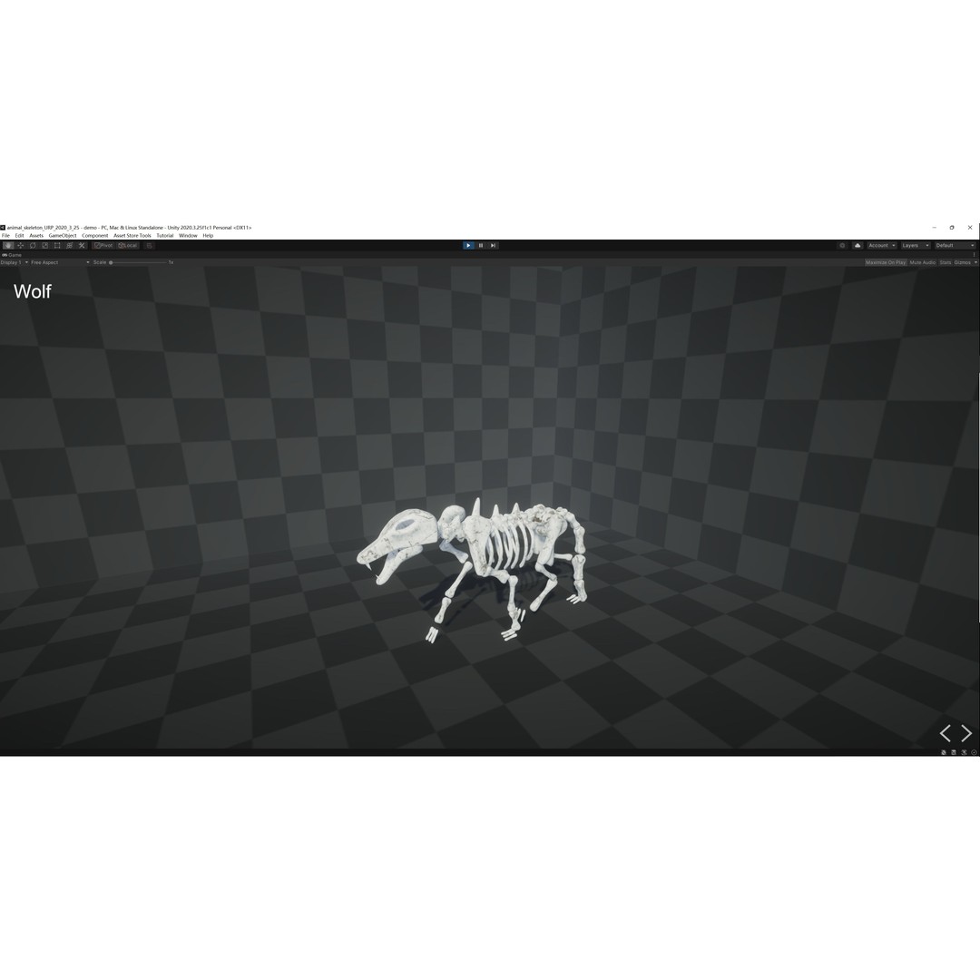 Animal Skeletons 3D Model – Low Poly Rigged Assets, FBX & PBR Textures - View 36