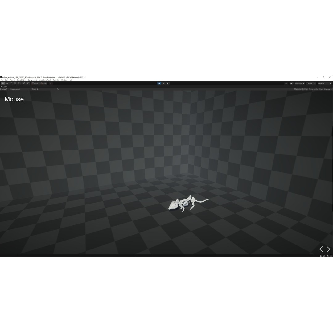 Animal Skeletons 3D Model – Low Poly Rigged Assets, FBX & PBR Textures - View 37