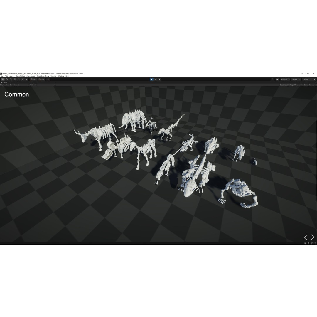 Animal Skeletons 3D Model – Low Poly Rigged Assets, FBX & PBR Textures - View 6
