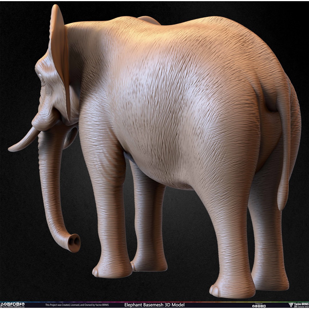 Elephant Basemesh 3D Model – Low Poly Game Asset, PBR Textures, FBX