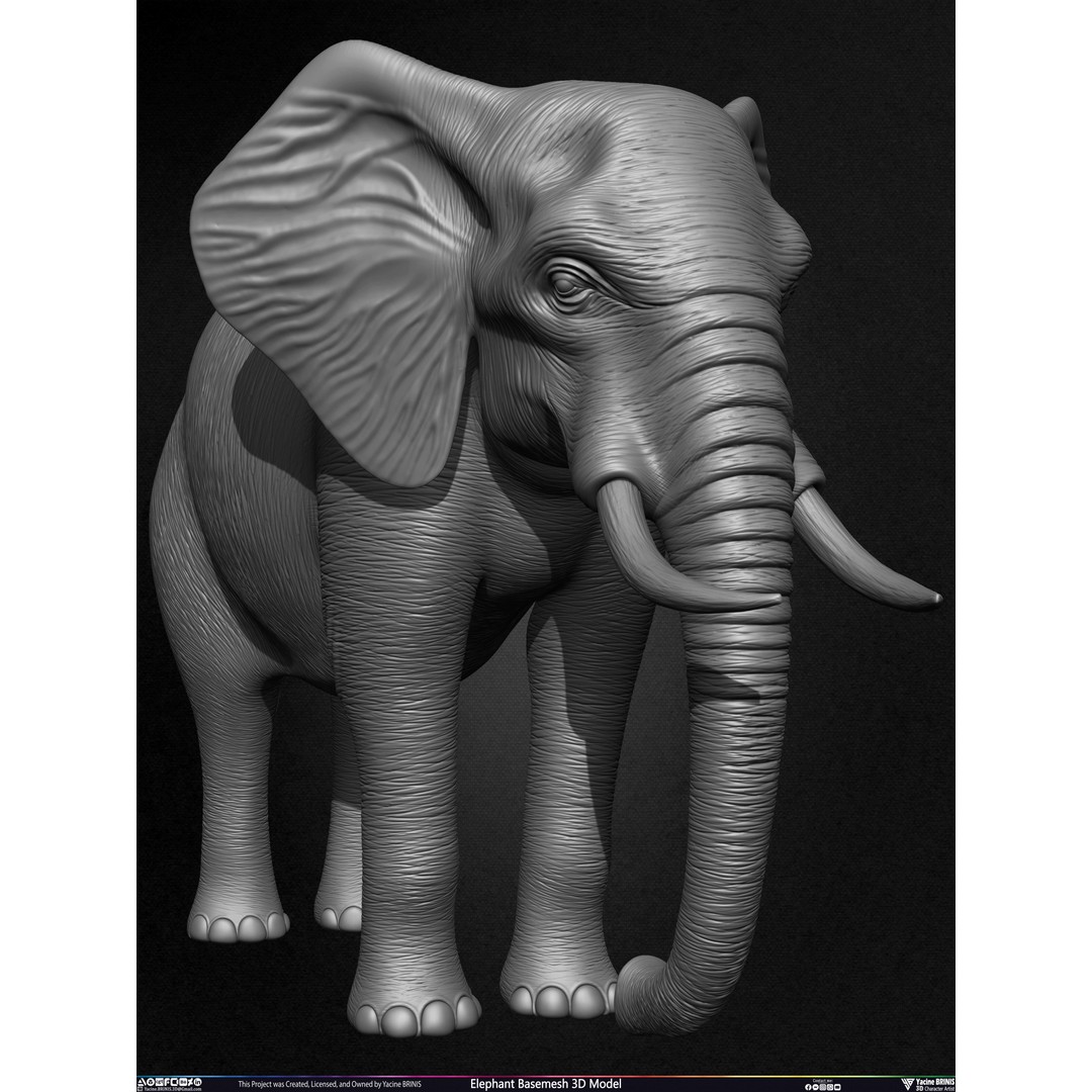 Elephant Basemesh 3D Model – Low Poly Game Asset, PBR Textures, FBX - View 10
