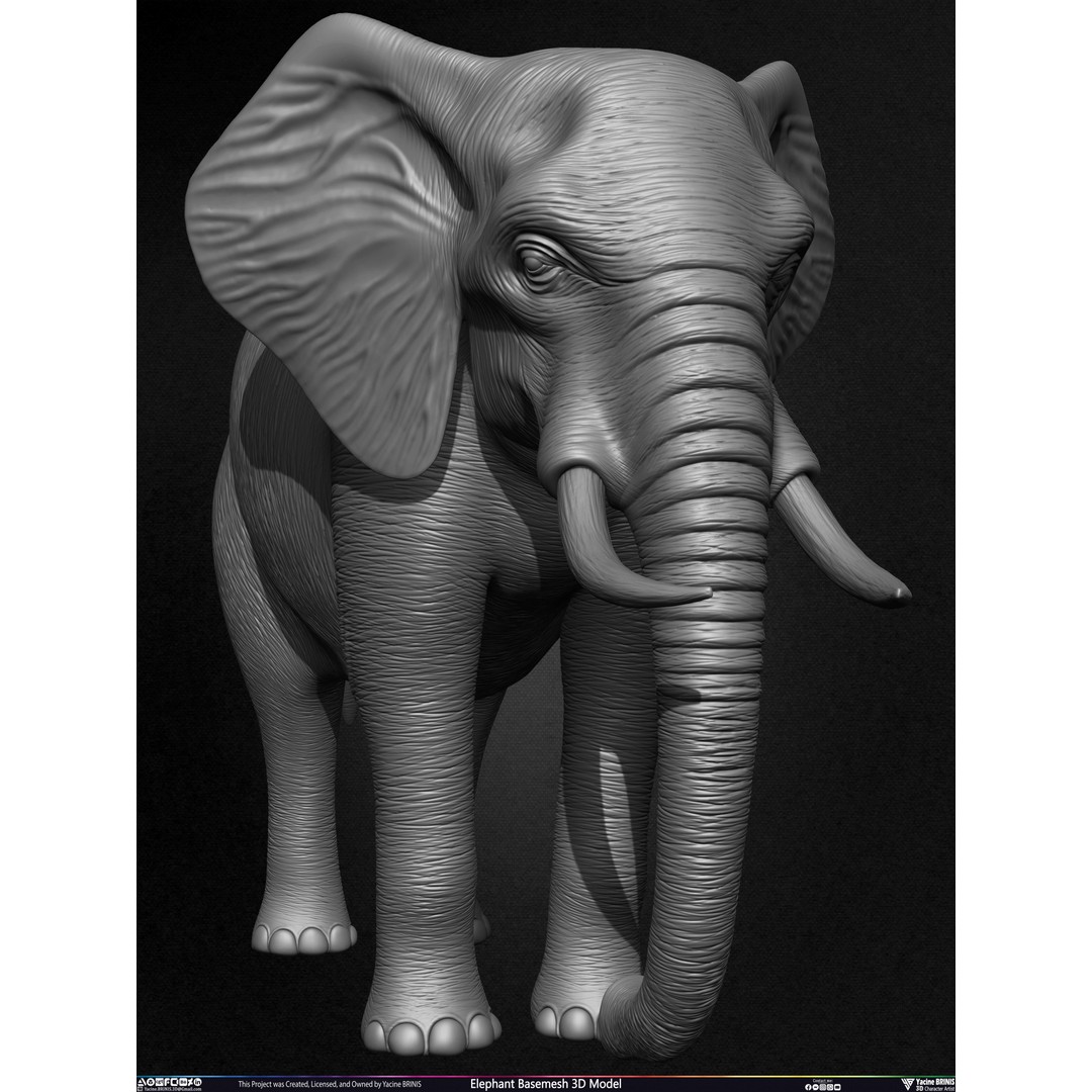 Elephant Basemesh 3D Model – Low Poly Game Asset, PBR Textures, FBX - View 11