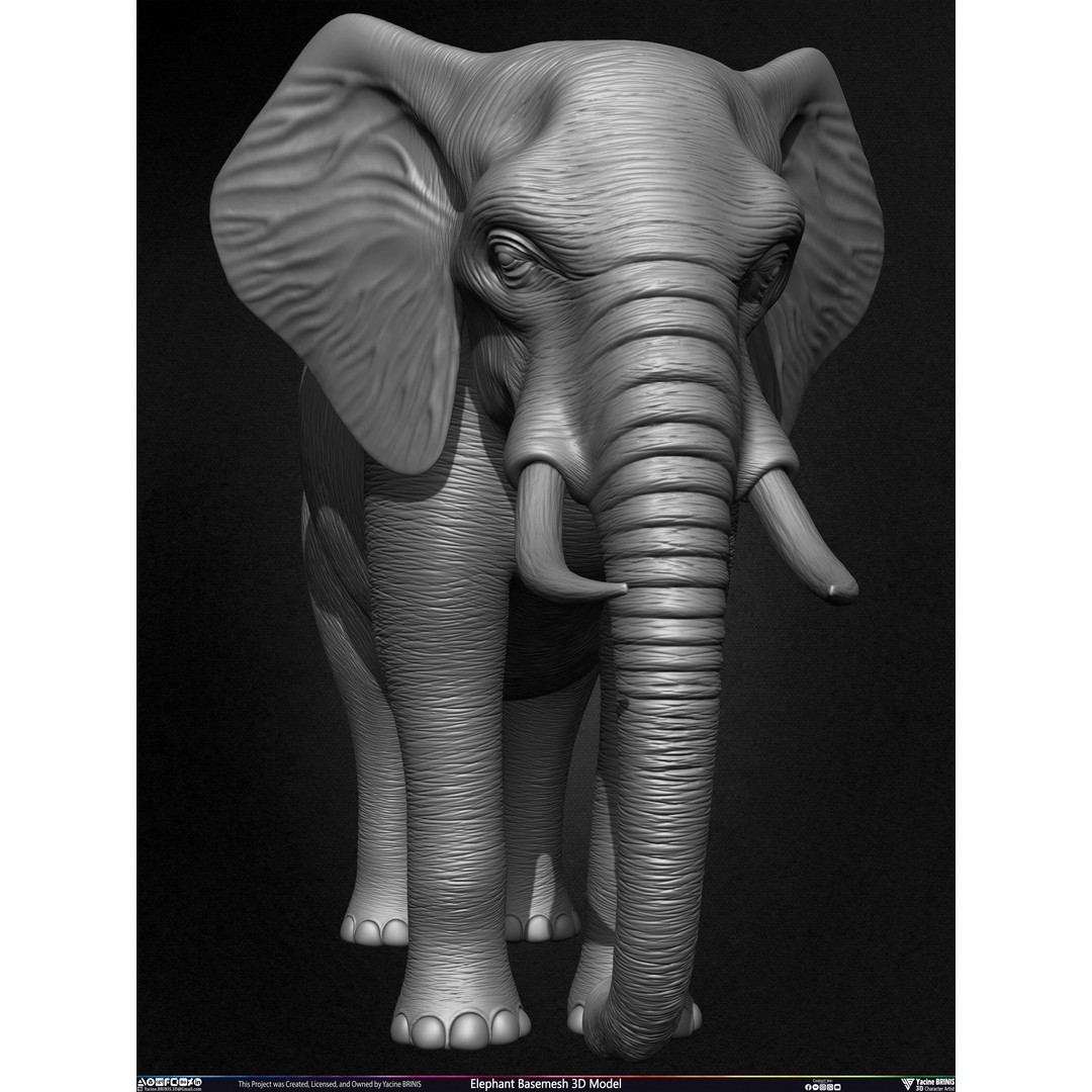 Elephant Basemesh 3D Model – Low Poly Game Asset, PBR Textures, FBX - View 12