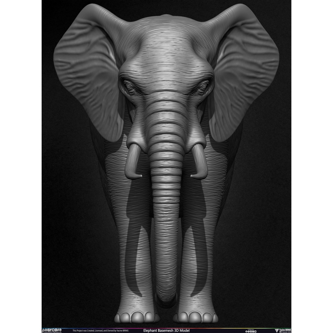 Elephant Basemesh 3D Model – Low Poly Game Asset, PBR Textures, FBX - View 13