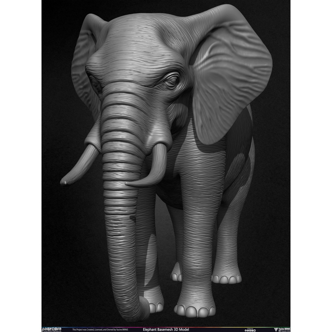 Elephant Basemesh 3D Model – Low Poly Game Asset, PBR Textures, FBX - View 14