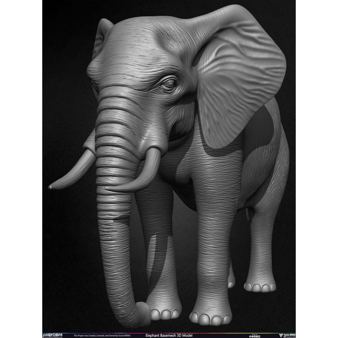 Elephant Basemesh 3D Model – Low Poly Game Asset, PBR Textures, FBX - View 15