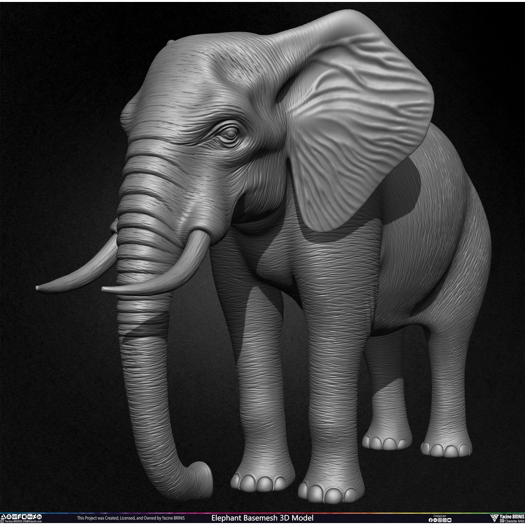 Elephant Basemesh 3D Model – Low Poly Game Asset, PBR Textures, FBX - View 16