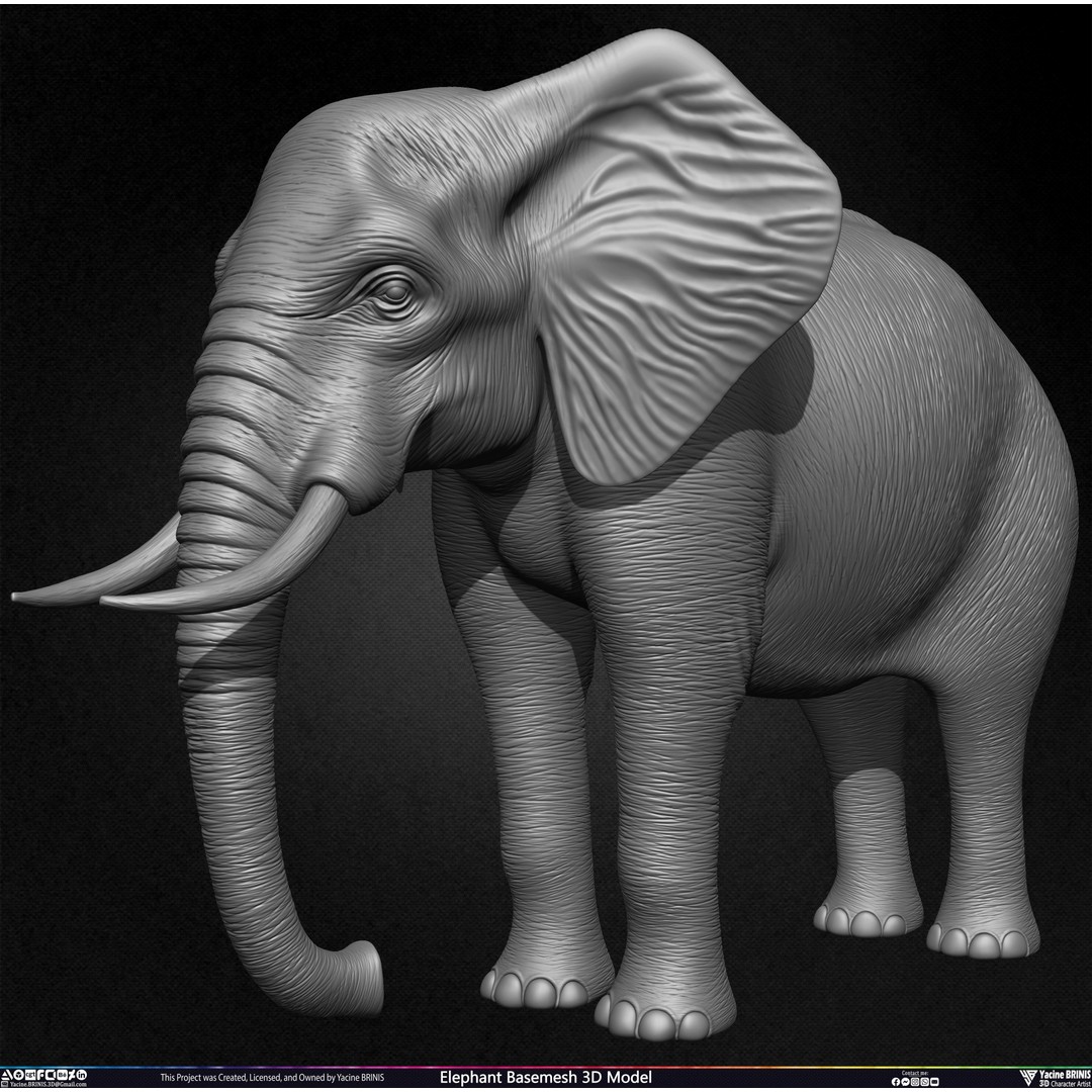 Elephant Basemesh 3D Model – Low Poly Game Asset, PBR Textures, FBX - View 17