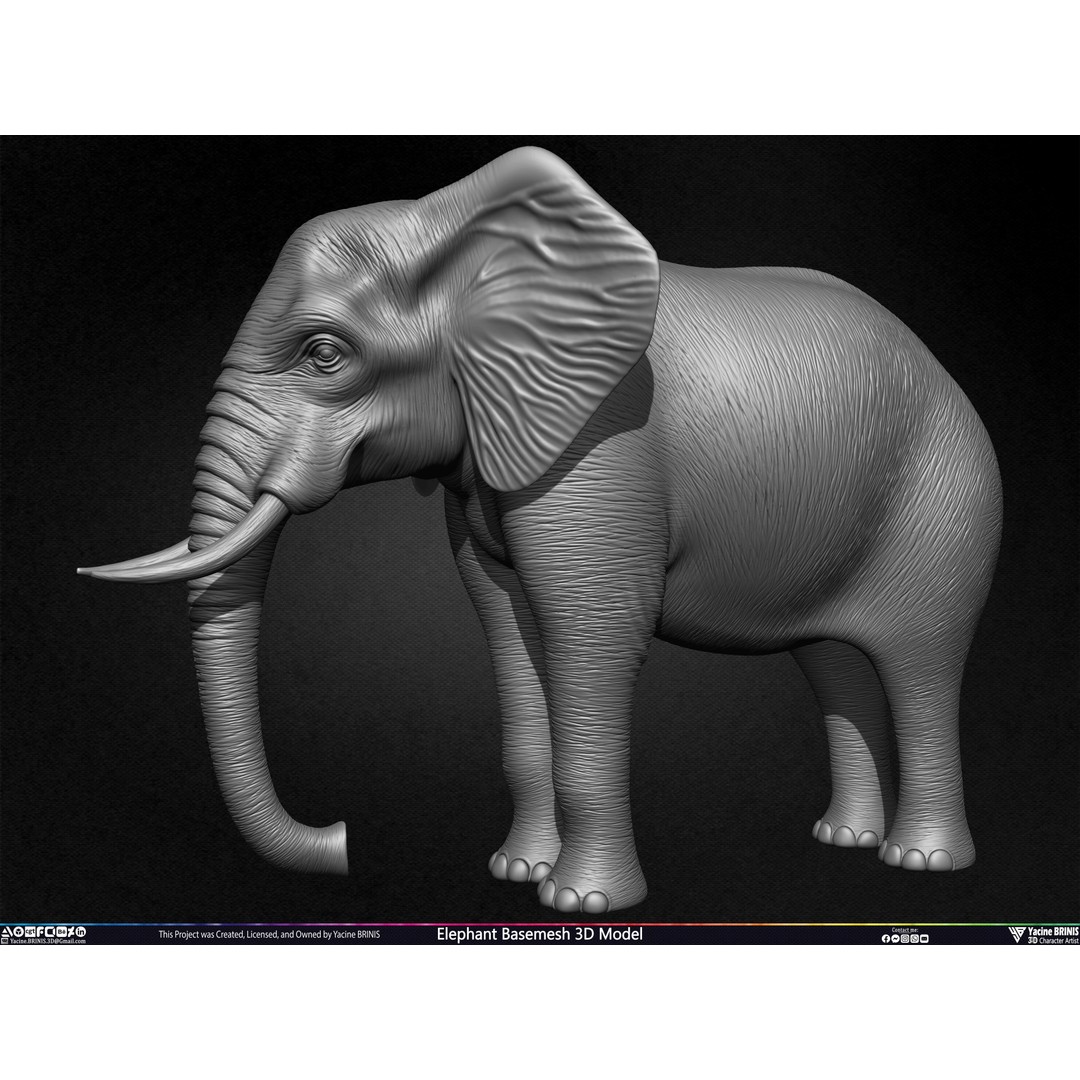 Elephant Basemesh 3D Model – Low Poly Game Asset, PBR Textures, FBX - View 18