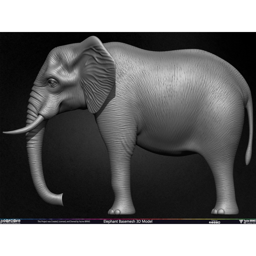 Elephant Basemesh 3D Model – Low Poly Game Asset, PBR Textures, FBX - View 19