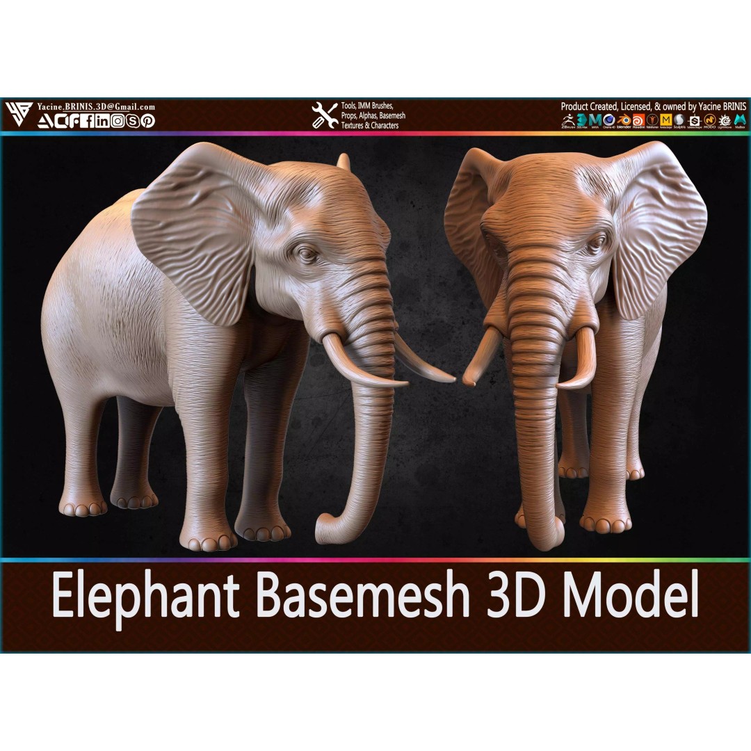 Elephant Basemesh 3D Model – Low Poly Game Asset, PBR Textures, FBX - View 2