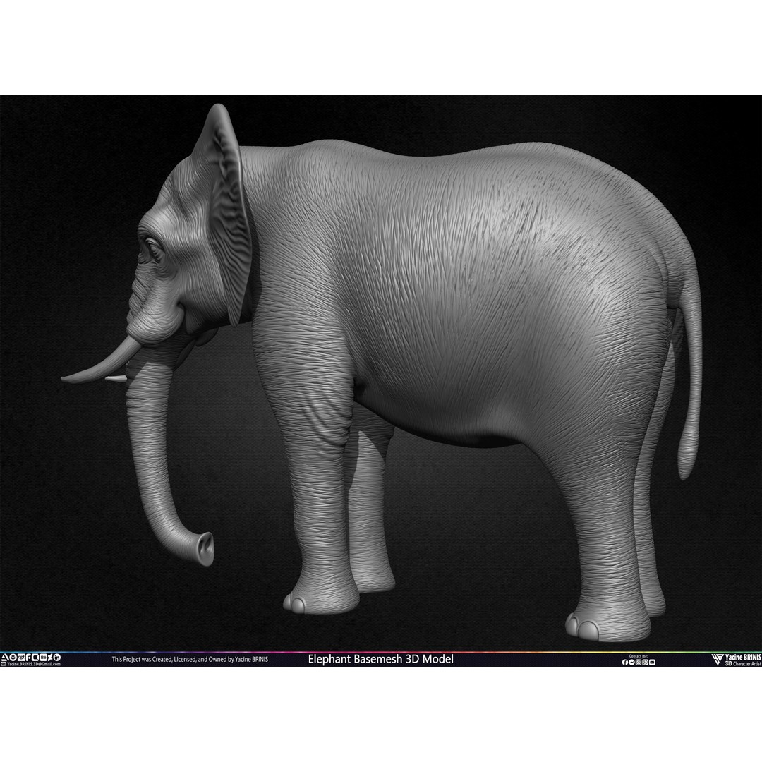 Elephant Basemesh 3D Model – Low Poly Game Asset, PBR Textures, FBX - View 20