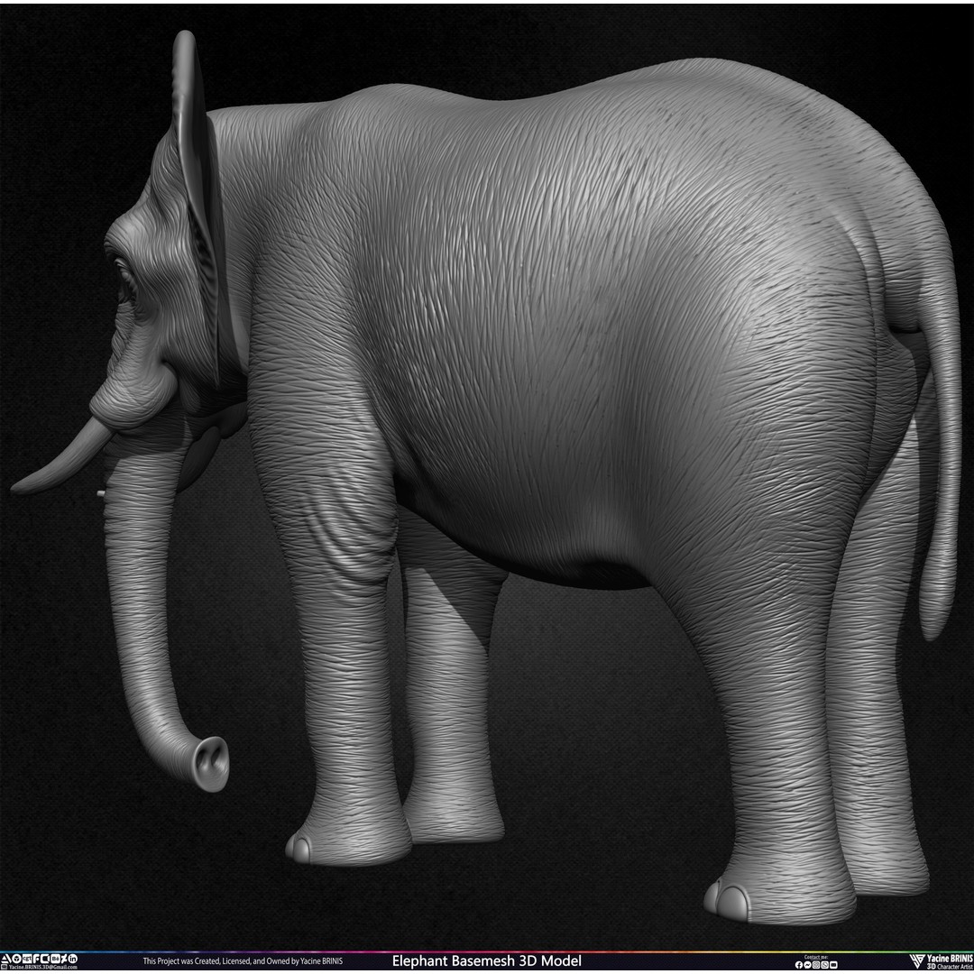 Elephant Basemesh 3D Model – Low Poly Game Asset, PBR Textures, FBX - View 21