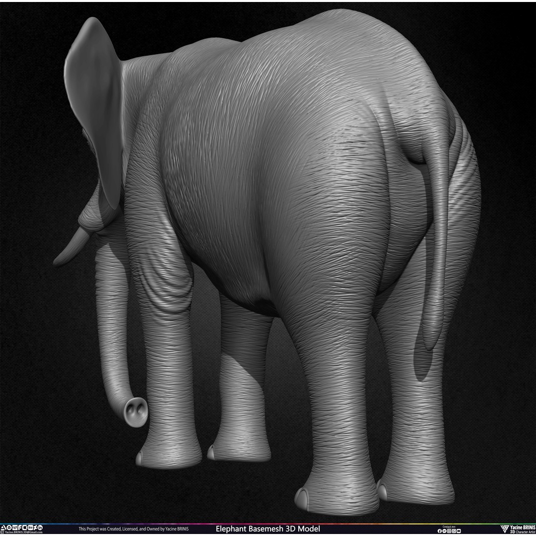 Elephant Basemesh 3D Model – Low Poly Game Asset, PBR Textures, FBX - View 22