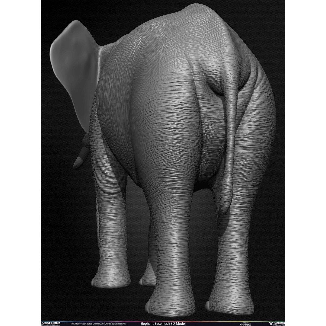 Elephant Basemesh 3D Model – Low Poly Game Asset, PBR Textures, FBX - View 23
