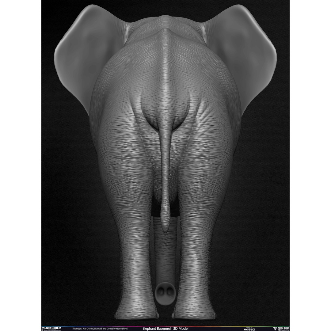 Elephant Basemesh 3D Model – Low Poly Game Asset, PBR Textures, FBX - View 24