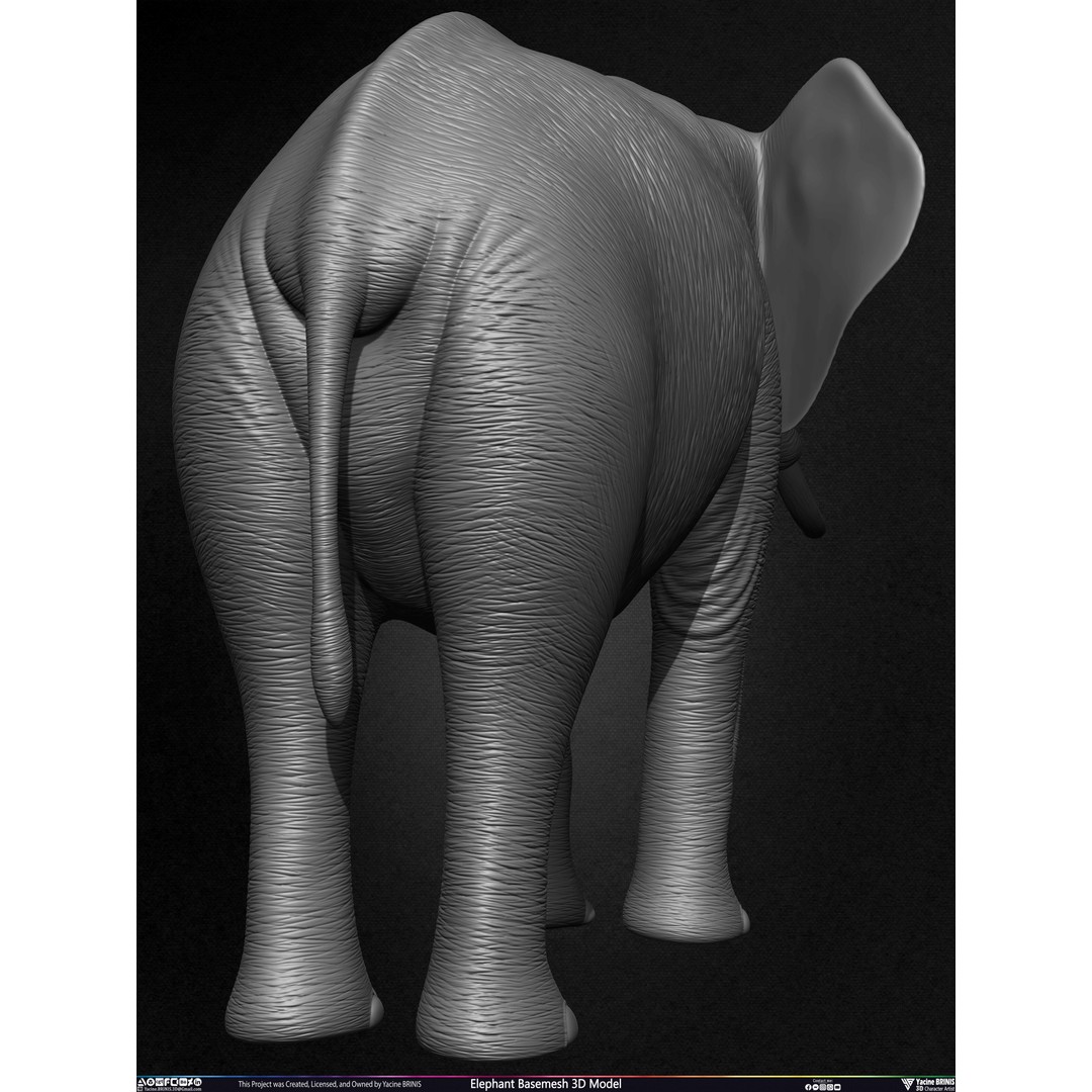 Elephant Basemesh 3D Model – Low Poly Game Asset, PBR Textures, FBX - View 25