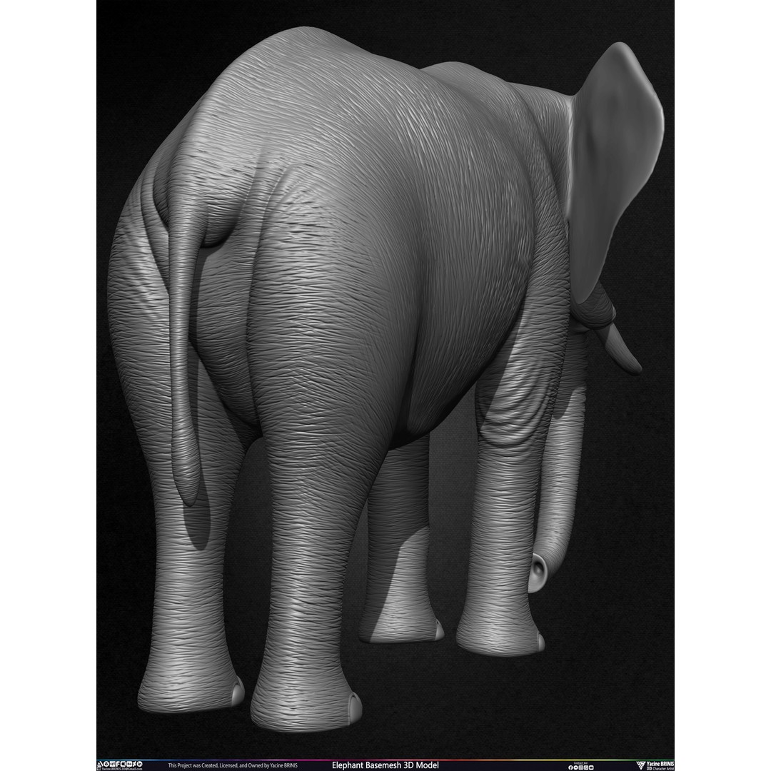 Elephant Basemesh 3D Model – Low Poly Game Asset, PBR Textures, FBX - View 26