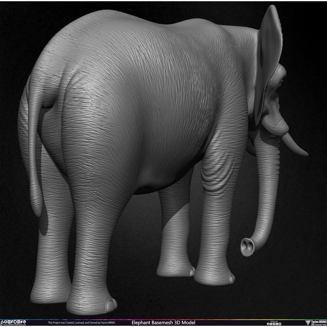 Elephant Basemesh 3D Model – Low Poly Game Asset, PBR Textures, FBX - View 27