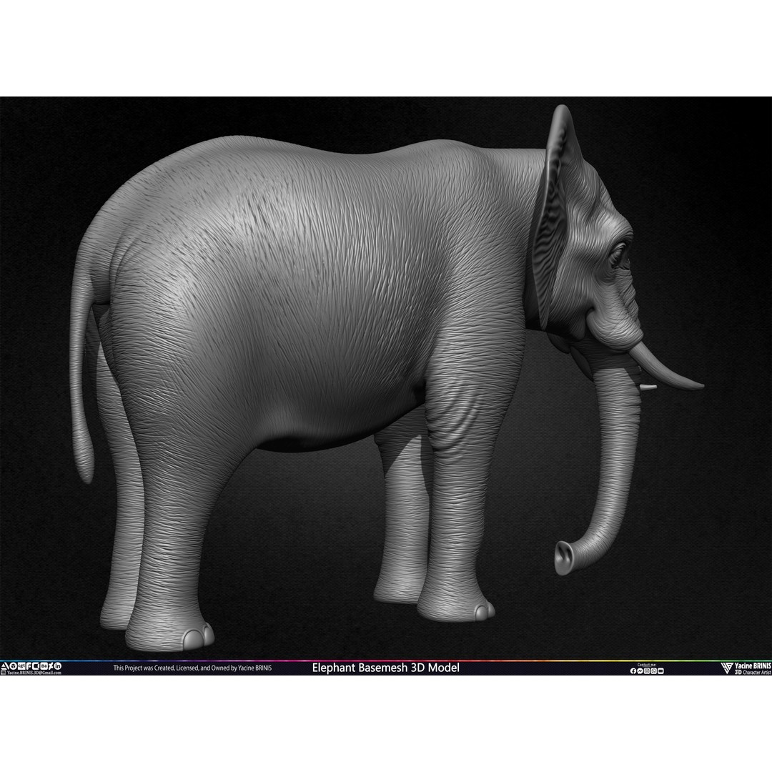 Elephant Basemesh 3D Model – Low Poly Game Asset, PBR Textures, FBX - View 28