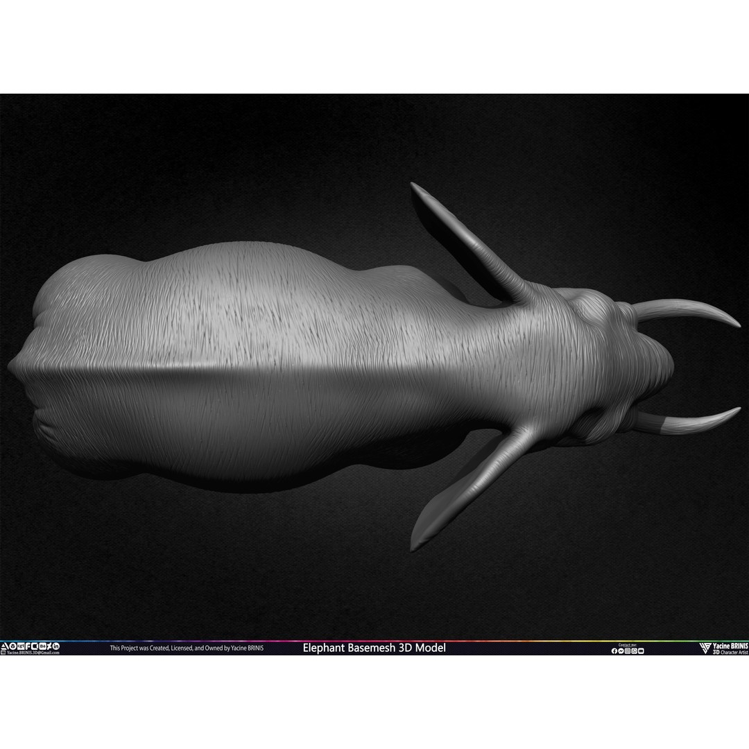 Elephant Basemesh 3D Model – Low Poly Game Asset, PBR Textures, FBX - View 29