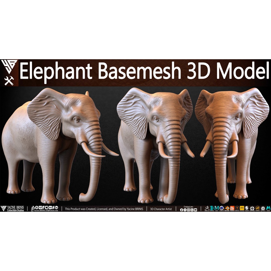 Elephant Basemesh 3D Model – Low Poly Game Asset, PBR Textures, FBX - View 3