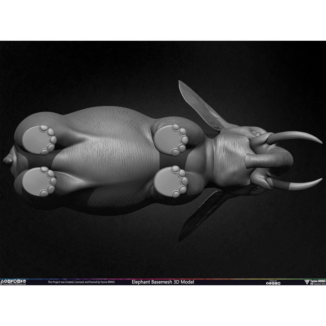 Elephant Basemesh 3D Model – Low Poly Game Asset, PBR Textures, FBX - View 30