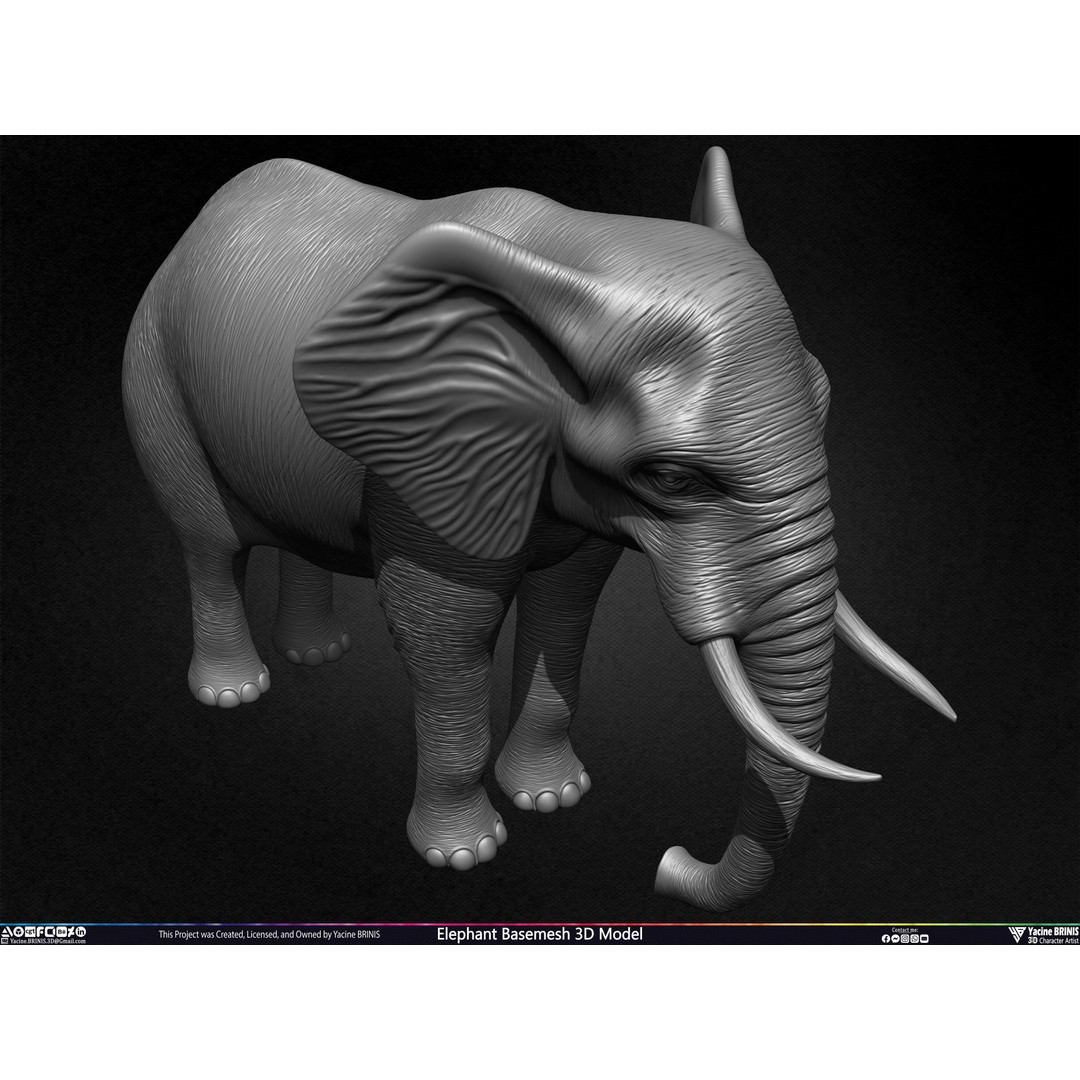 Elephant Basemesh 3D Model – Low Poly Game Asset, PBR Textures, FBX - View 31