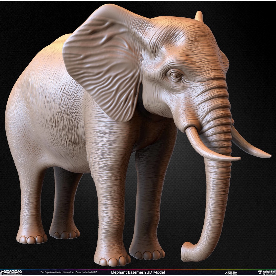 Elephant Basemesh 3D Model – Low Poly Game Asset, PBR Textures, FBX - View 32