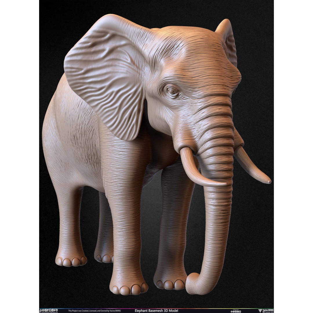 Elephant Basemesh 3D Model – Low Poly Game Asset, PBR Textures, FBX - View 33