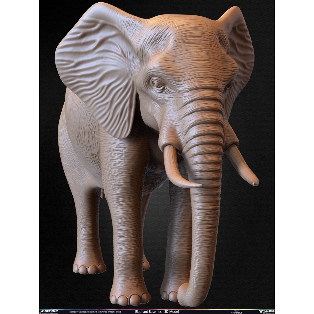 Elephant Basemesh 3D Model – Low Poly Game Asset, PBR Textures, FBX - View 34