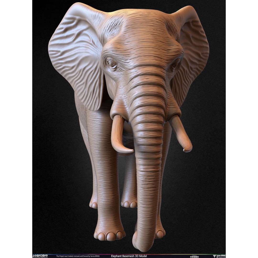 Elephant Basemesh 3D Model – Low Poly Game Asset, PBR Textures, FBX - View 35
