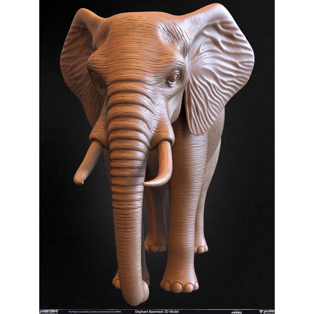 Elephant Basemesh 3D Model – Low Poly Game Asset, PBR Textures, FBX - View 36