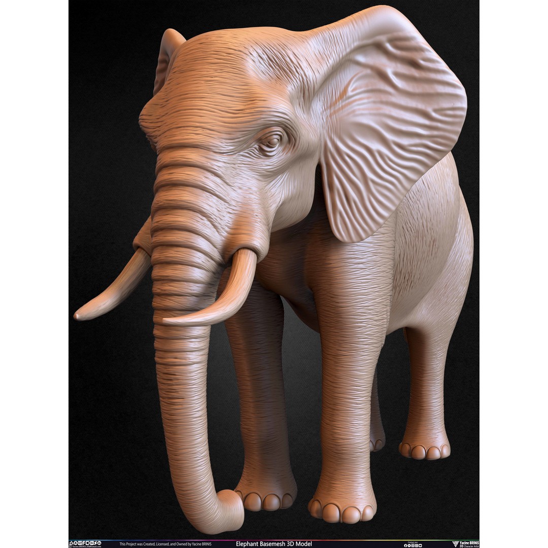 Elephant Basemesh 3D Model – Low Poly Game Asset, PBR Textures, FBX - View 37