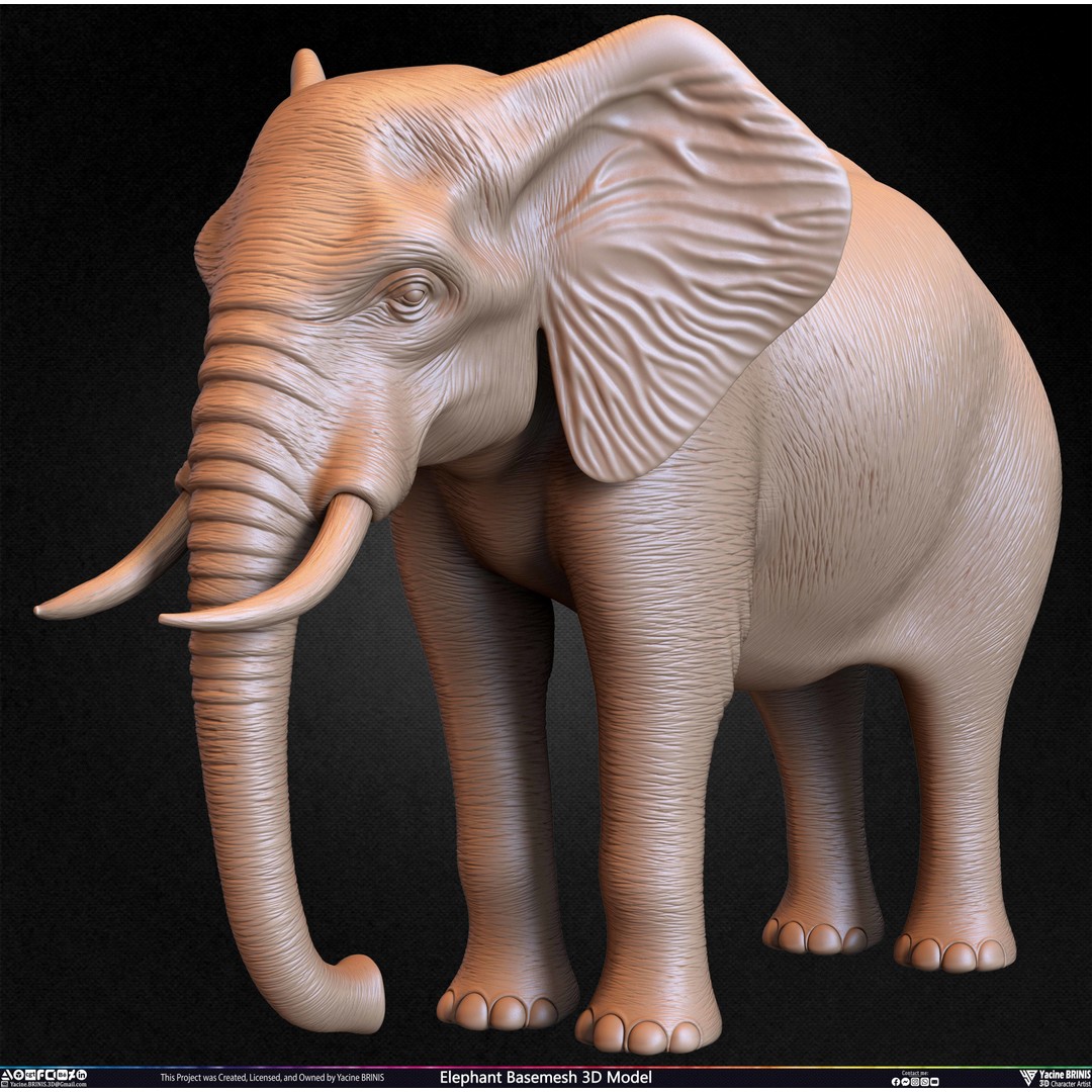 Elephant Basemesh 3D Model – Low Poly Game Asset, PBR Textures, FBX - View 38