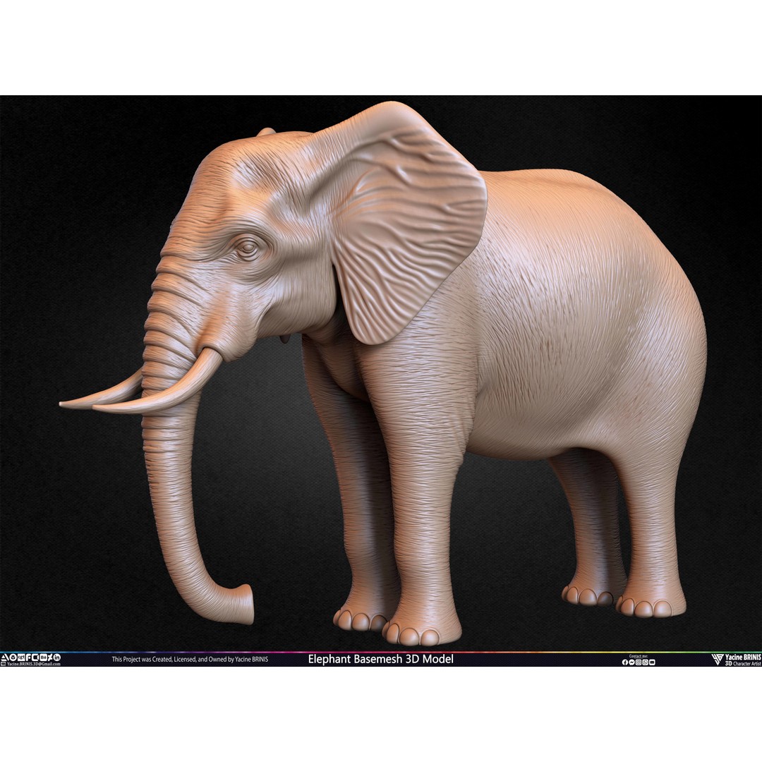Elephant Basemesh 3D Model – Low Poly Game Asset, PBR Textures, FBX - View 39