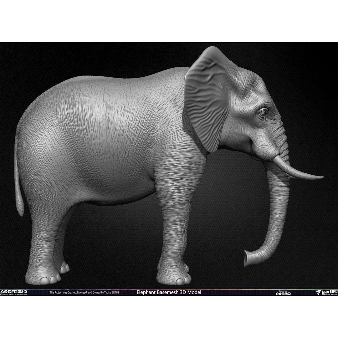 Elephant Basemesh 3D Model – Low Poly Game Asset, PBR Textures, FBX - View 4