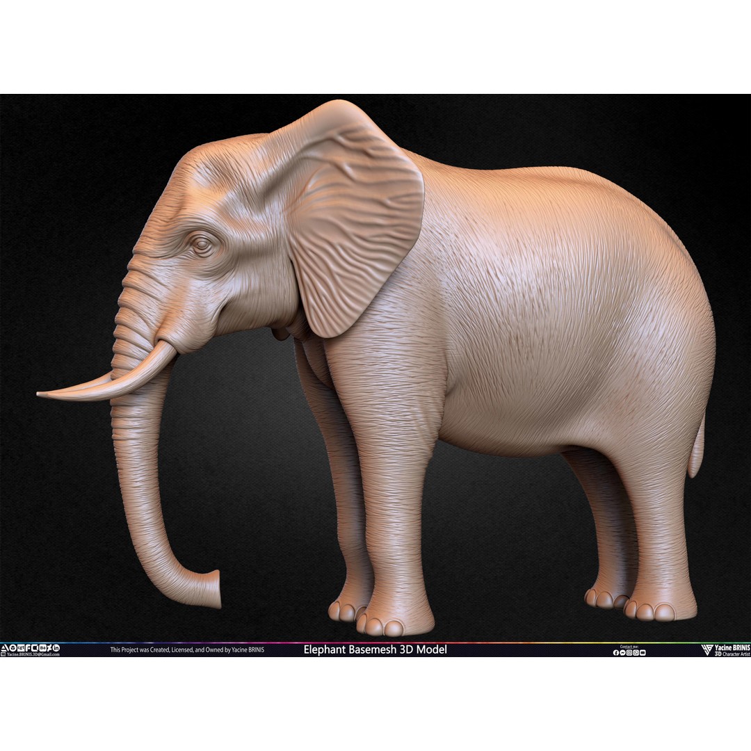 Elephant Basemesh 3D Model – Low Poly Game Asset, PBR Textures, FBX - View 40