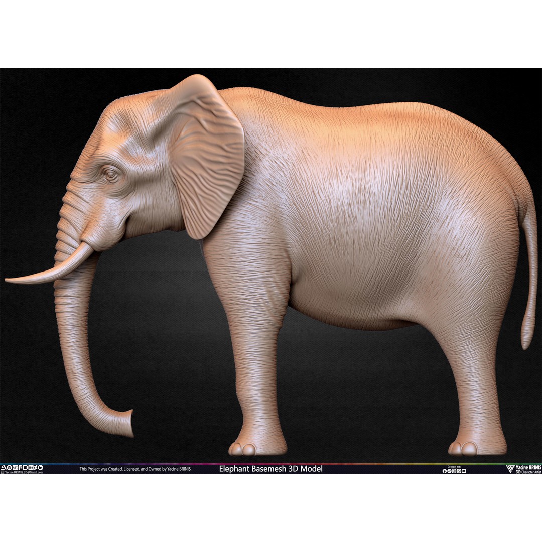 Elephant Basemesh 3D Model – Low Poly Game Asset, PBR Textures, FBX - View 41