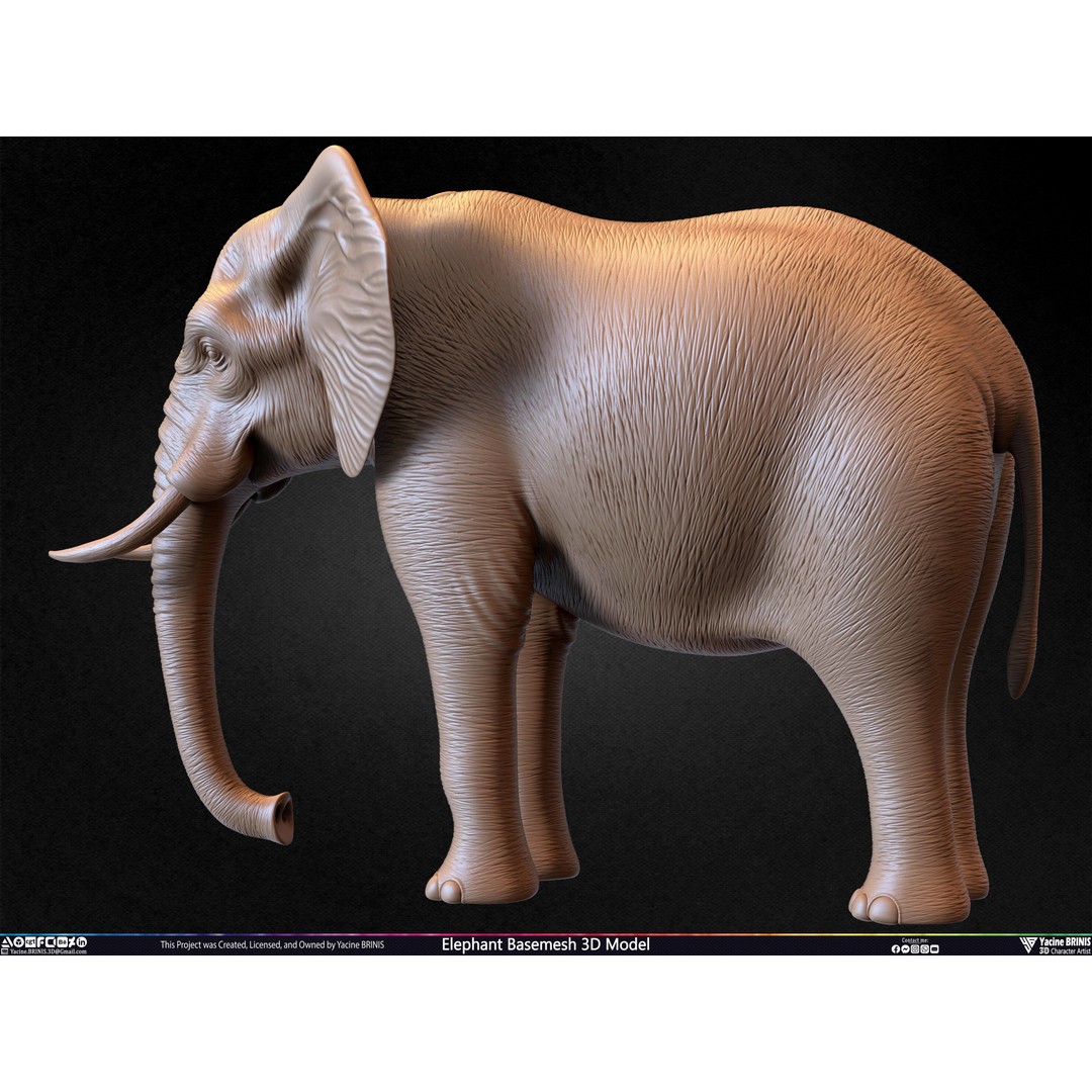 Elephant Basemesh 3D Model – Low Poly Game Asset, PBR Textures, FBX - View 42