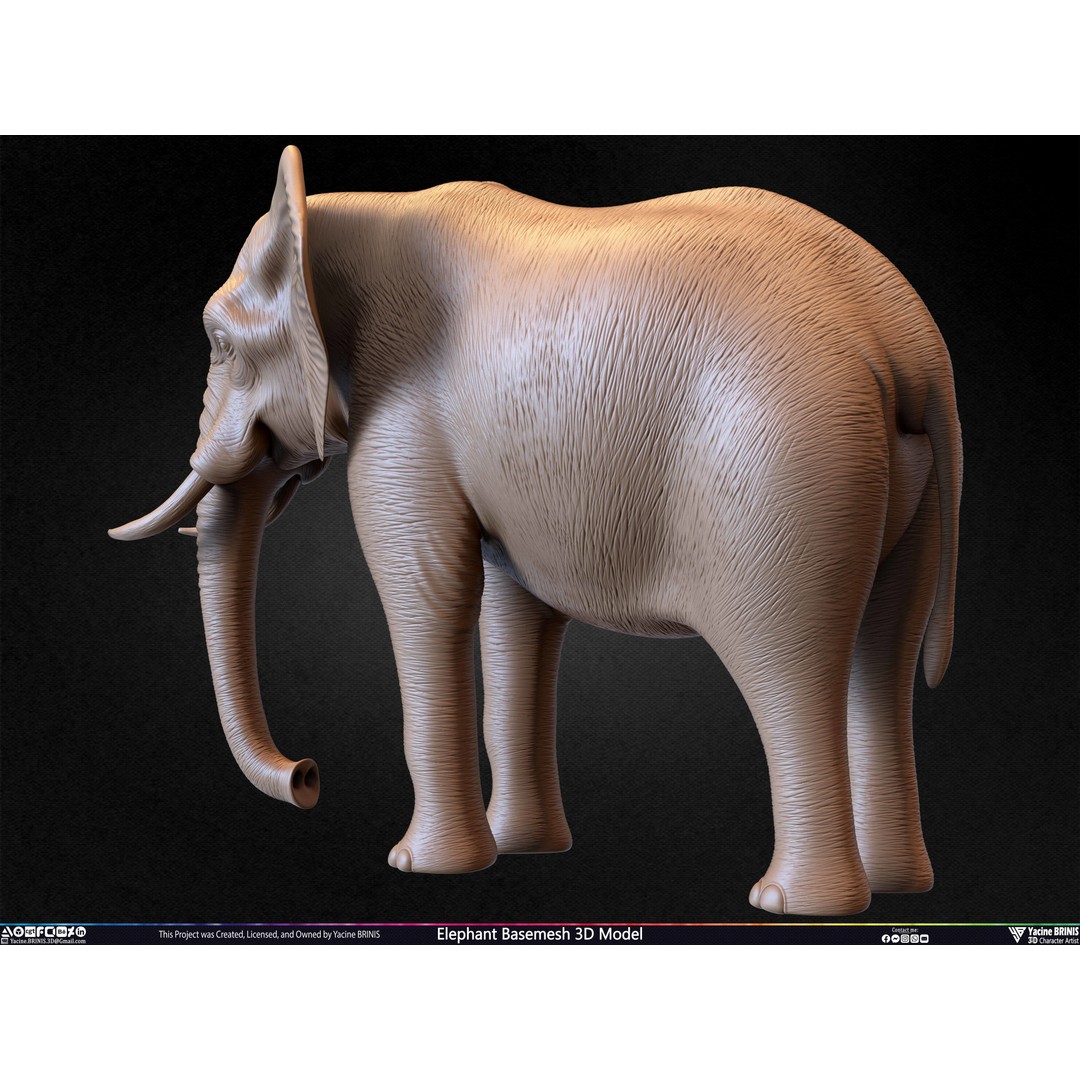 Elephant Basemesh 3D Model – Low Poly Game Asset, PBR Textures, FBX - View 43