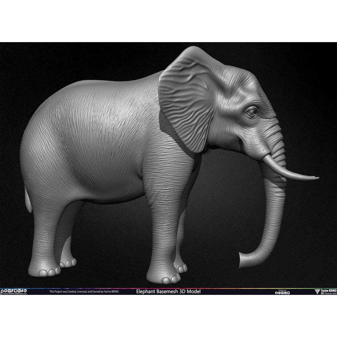 Elephant Basemesh 3D Model – Low Poly Game Asset, PBR Textures, FBX - View 5
