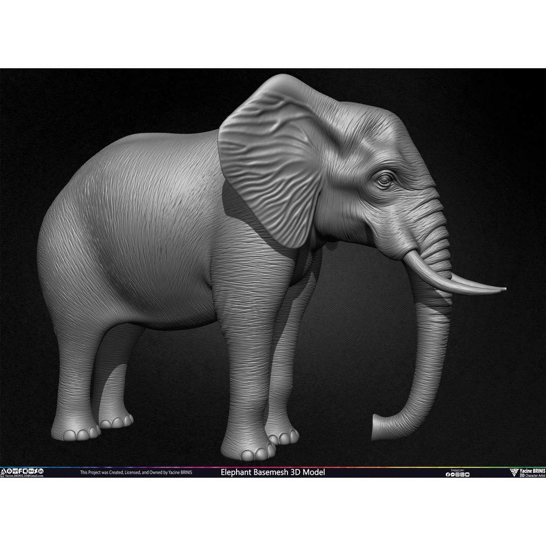 Elephant Basemesh 3D Model – Low Poly Game Asset, PBR Textures, FBX - View 6